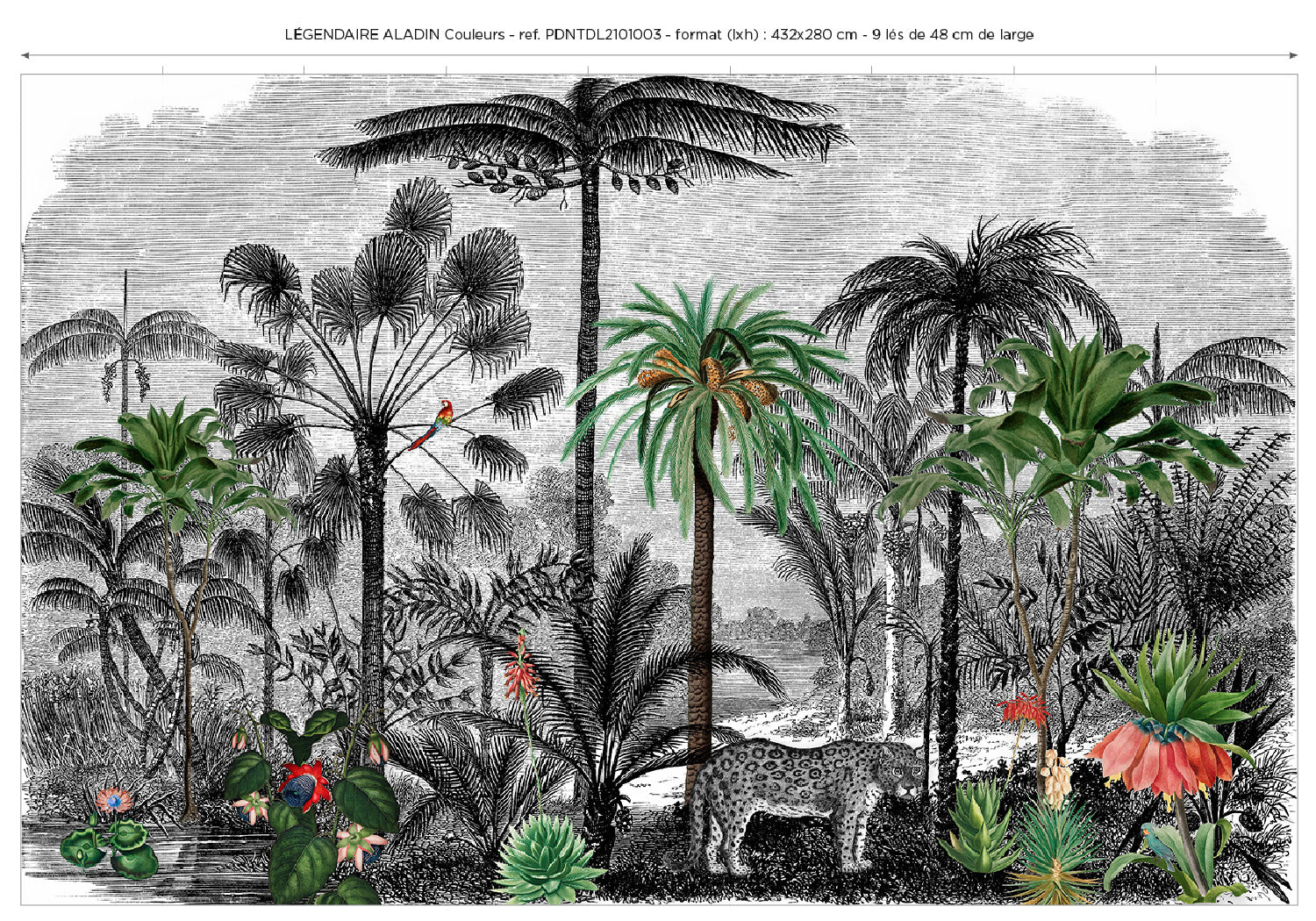 Image du produit 6